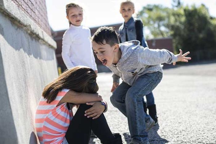 bullying